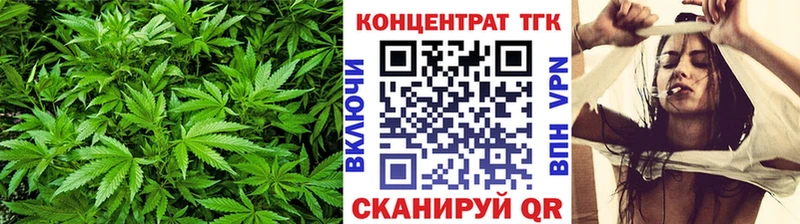 Купить где  Нефтеюганск  ТГК жижа 
