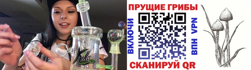 Псилоцибиновые грибы ЛСД  Купить  Нефтеюганск 